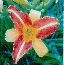 daylily-frans-hals