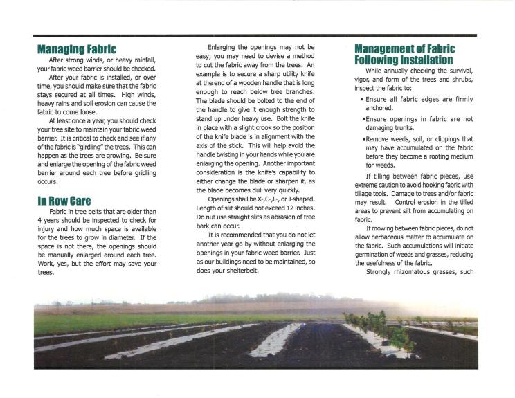 Caring_For_Fabric_In_Tree_Plantings-page-001
