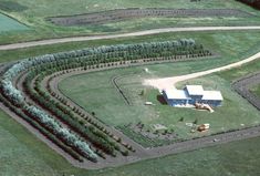 shelterbelt